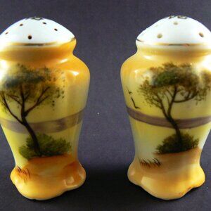 VINTAGE NORITAKE COLLECTIBLE PORCELAIN HAND PAINTED SALT & PEPPER SHAKERS SET